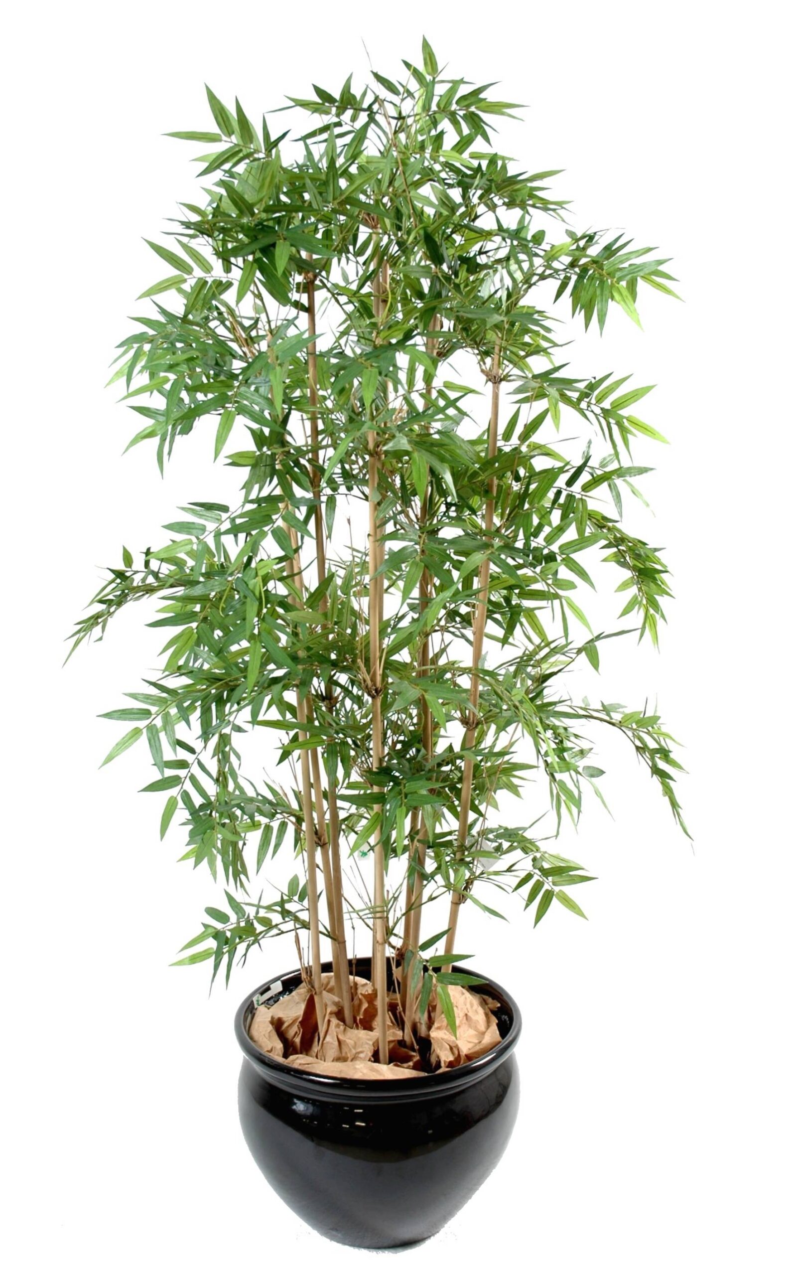 Künstlicher Orientalischer Bambus, ca. 140cm hoch, grün 1 Künstlicher Orientalischer Bambus, ca. 140cm hoch, grün