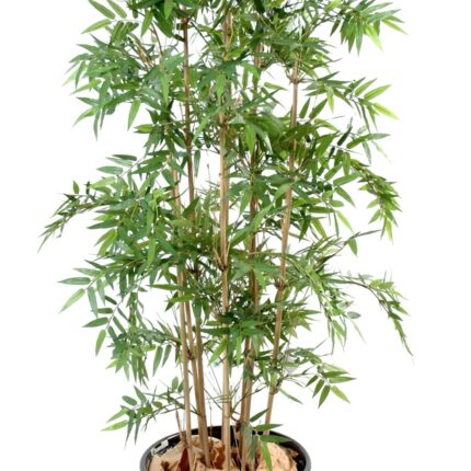Künstlicher Orientalischer Bambus, ca. 170cm hoch, grün