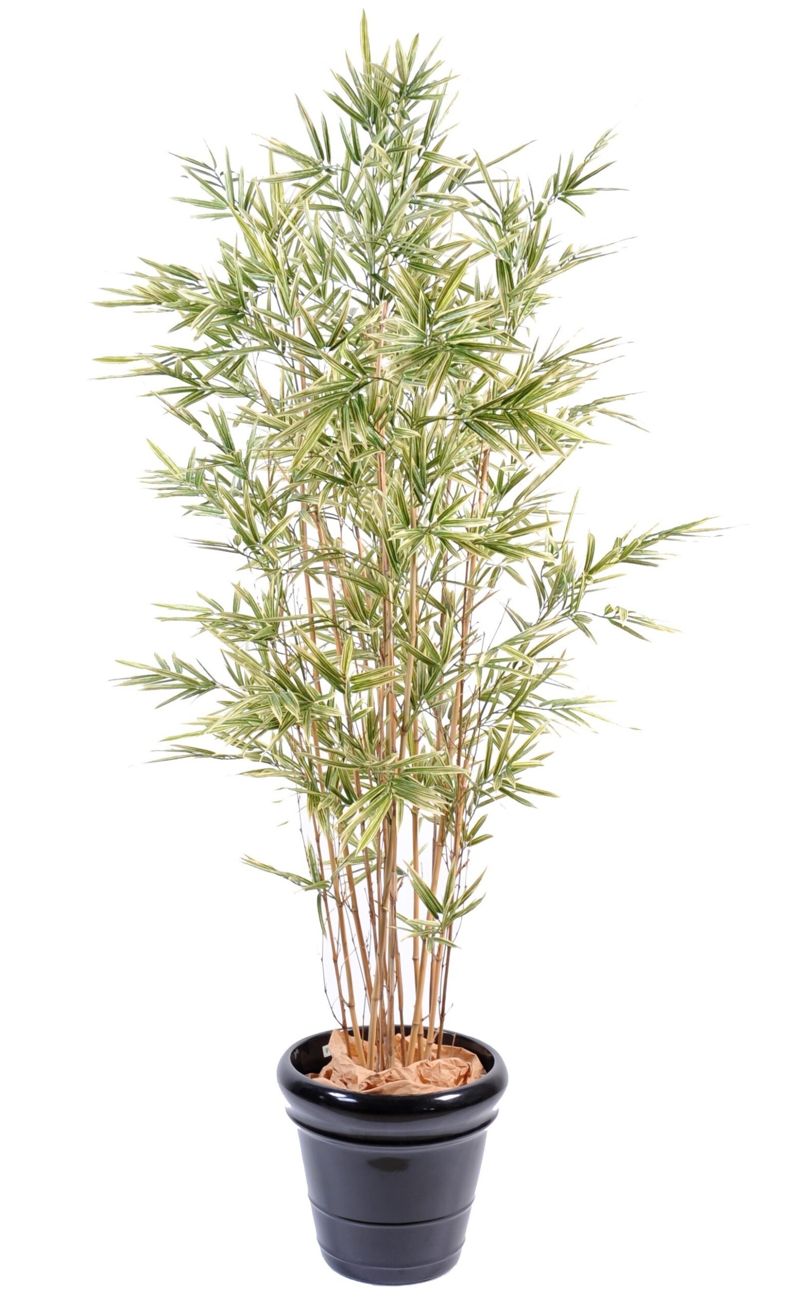 Künstlicher Shiroshima Bambus, ca. 120cm hoch, bunt 1 Künstlicher Shiroshima Bambus, ca. 120cm hoch, bunt