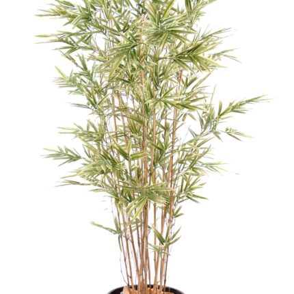 Künstlicher Shiroshima Bambus, ca. 165cm hoch, bunt