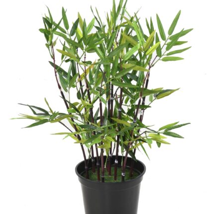 Künstlicher Schwarzer Bambus, ca. 60cm hoch, grün