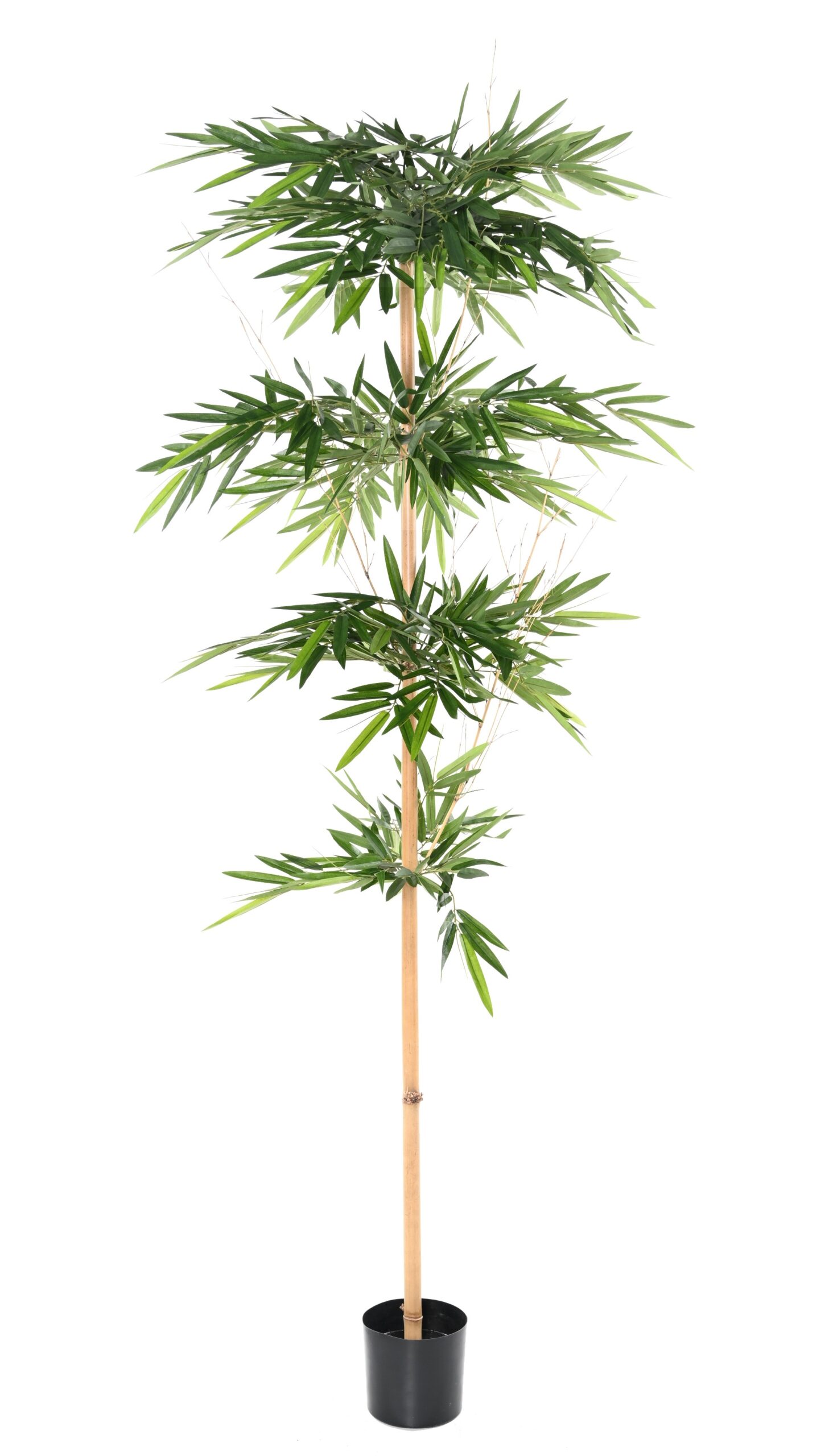 Künstlicher Bambusbaum, ca. 250cm hoch, grün 1 Künstlicher Bambusbaum, ca. 250cm hoch, grün