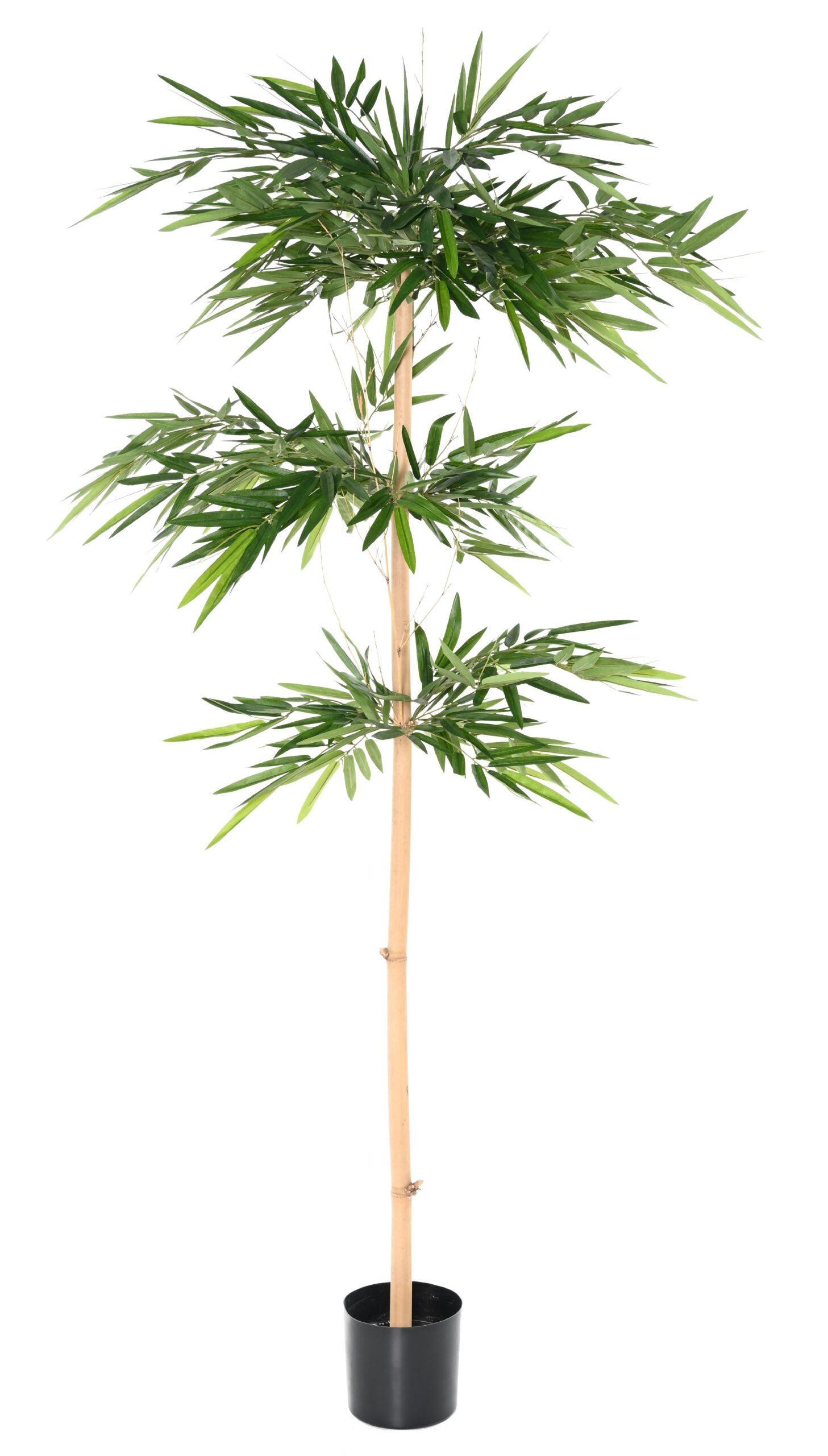 Künstlicher Bambusbaum, ca. 220cm hoch, grün 1 Künstlicher Bambusbaum, ca. 220cm hoch, grün