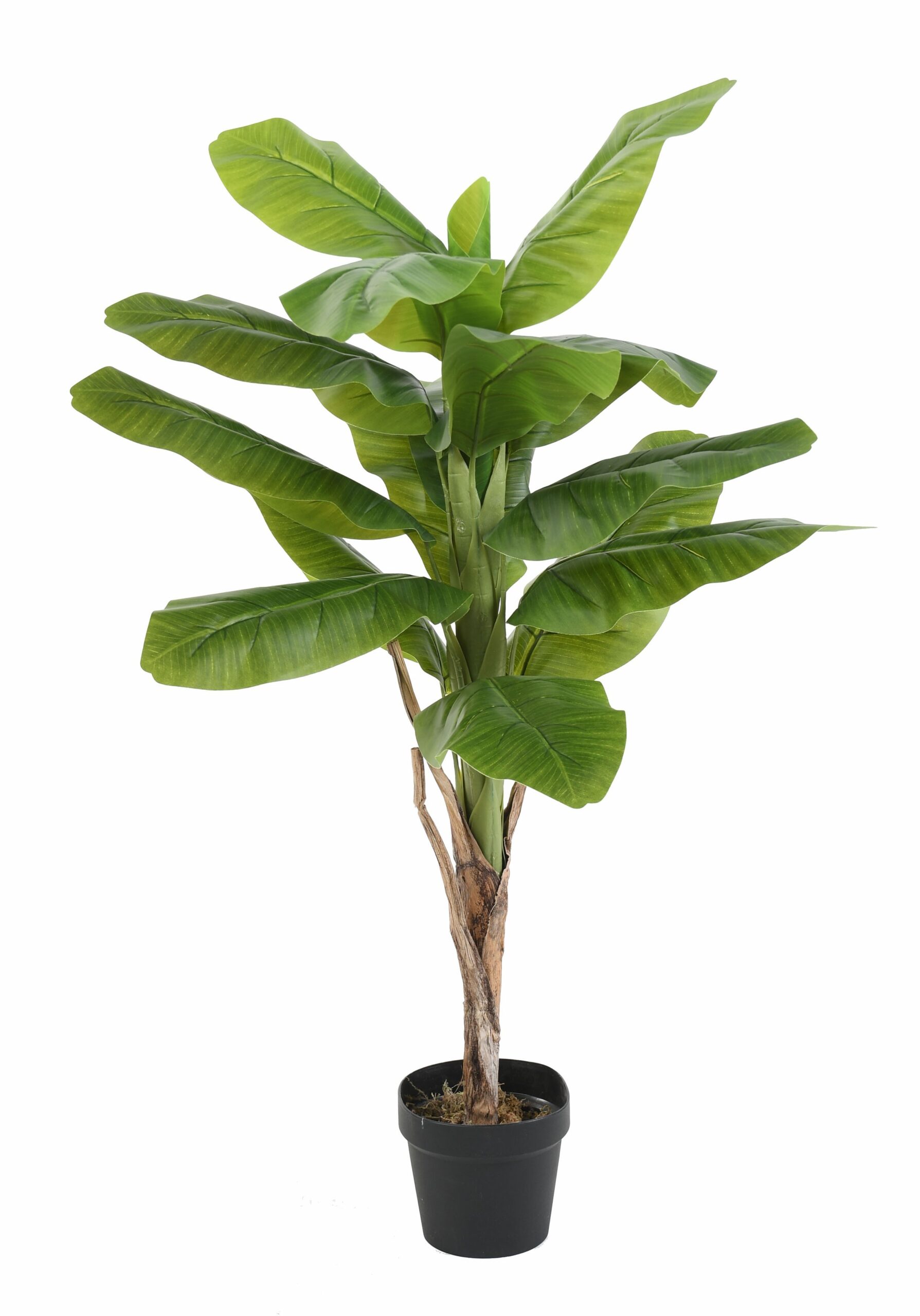 Künstlicher Bananenbaum, ca. 120cm, grün 1 Künstlicher Bananenbaum, ca. 120cm, grün