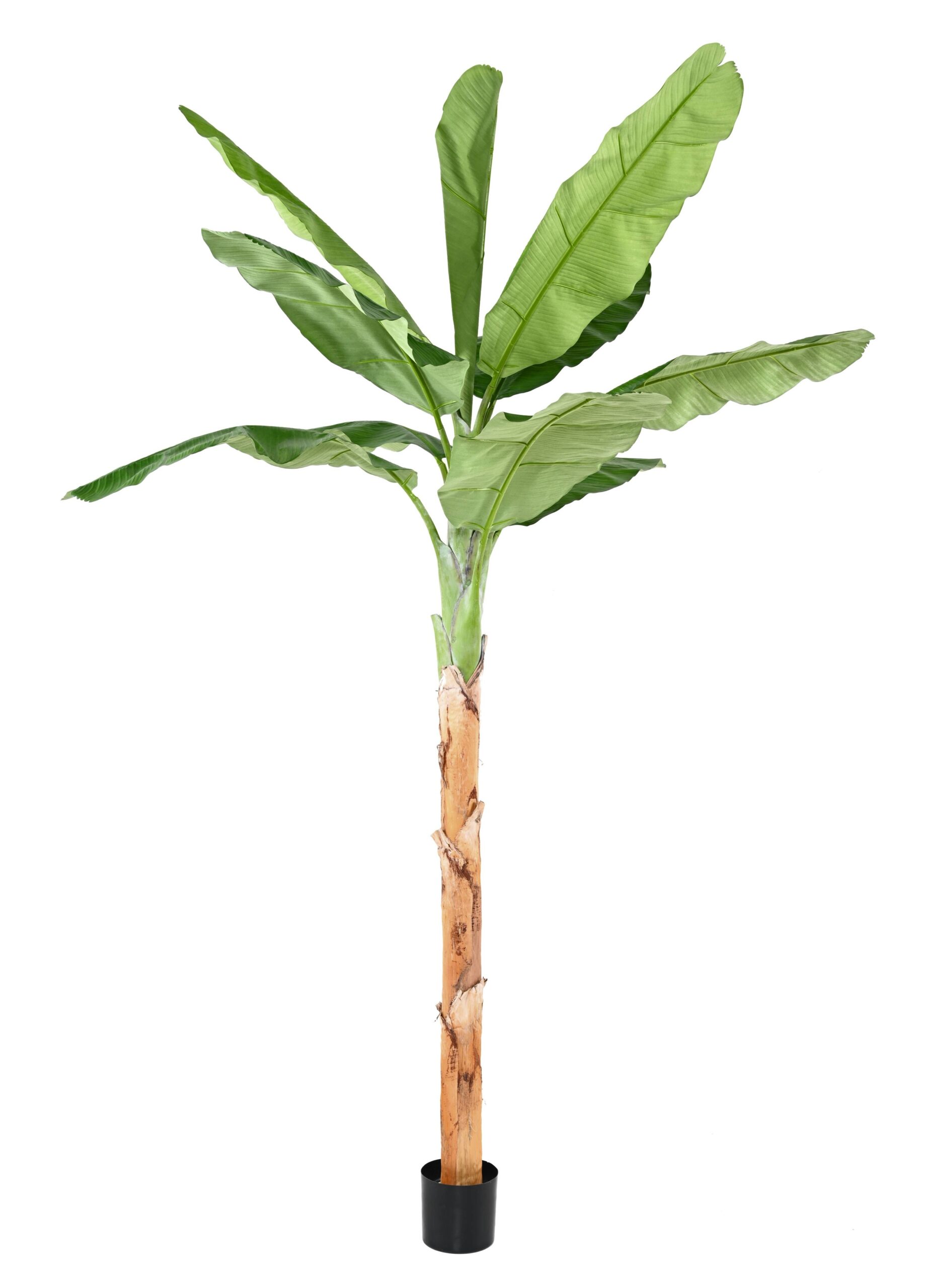 Künstlicher Bananenbaum, ca. 285cm, grün 1 Künstlicher Bananenbaum, ca. 285cm, grün