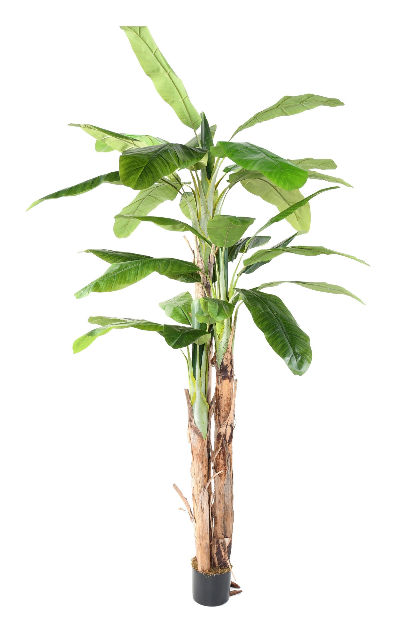 Künstlicher Bananenbaum, ca. 240cm, grün 1 Künstlicher Bananenbaum, ca. 240cm, grün