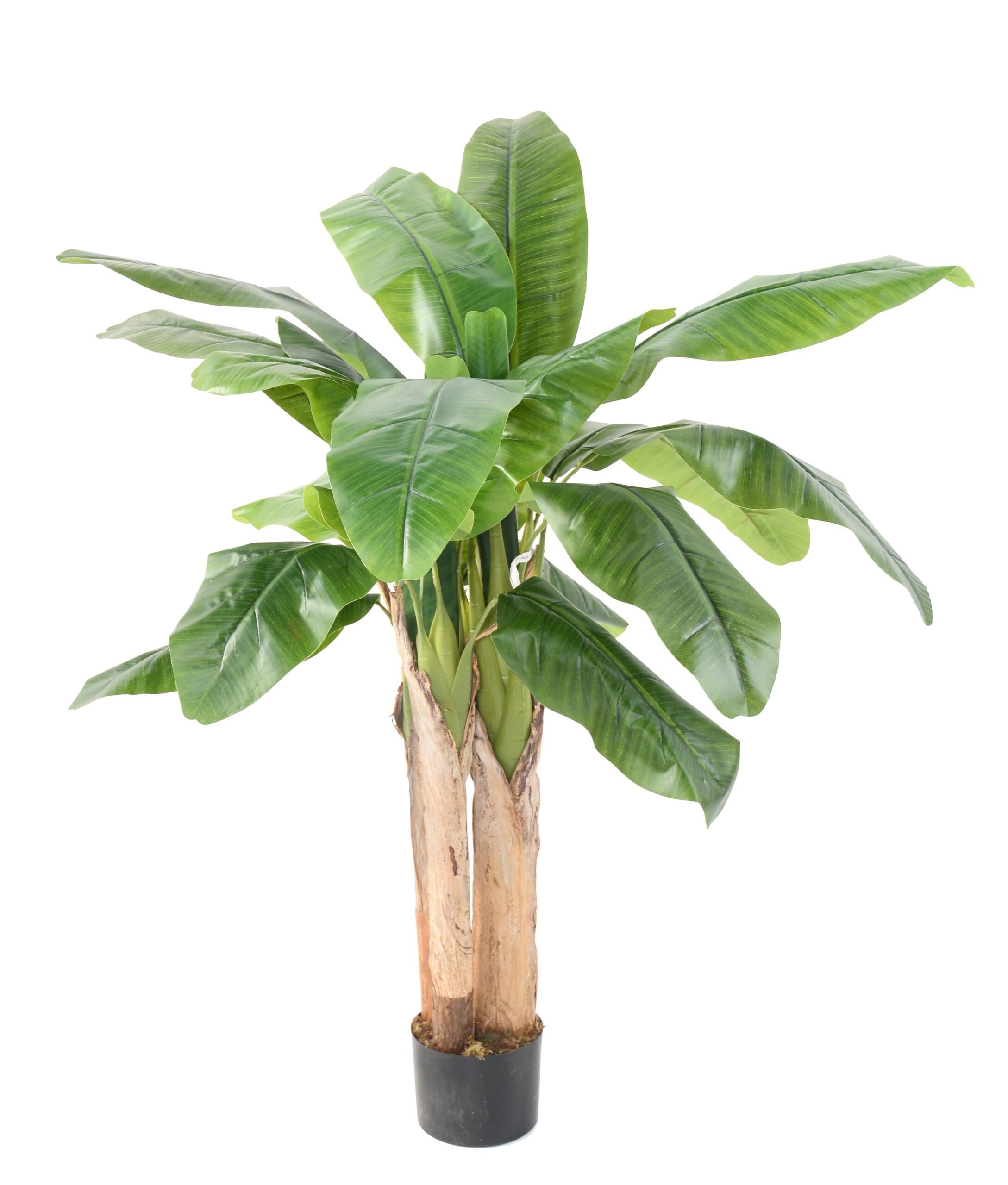 Künstlicher Bananenbaum, ca. 132cm, grün 1 Künstlicher Bananenbaum, ca. 132cm, grün