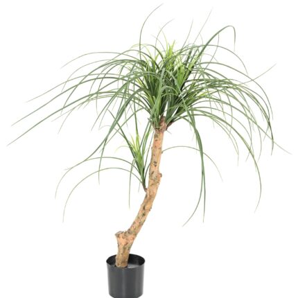 Künstliche Beaucarnea, ca. 90cm hoch, grün