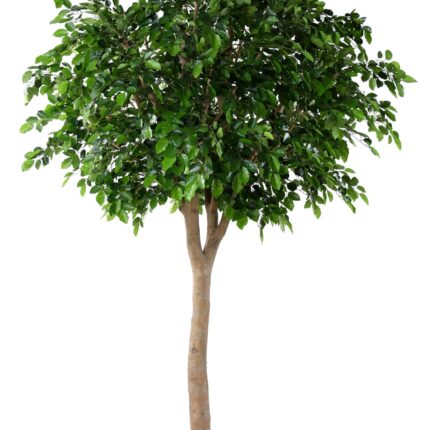 Künstlicher Buchenbaum, ca. 340cm hoch, grün