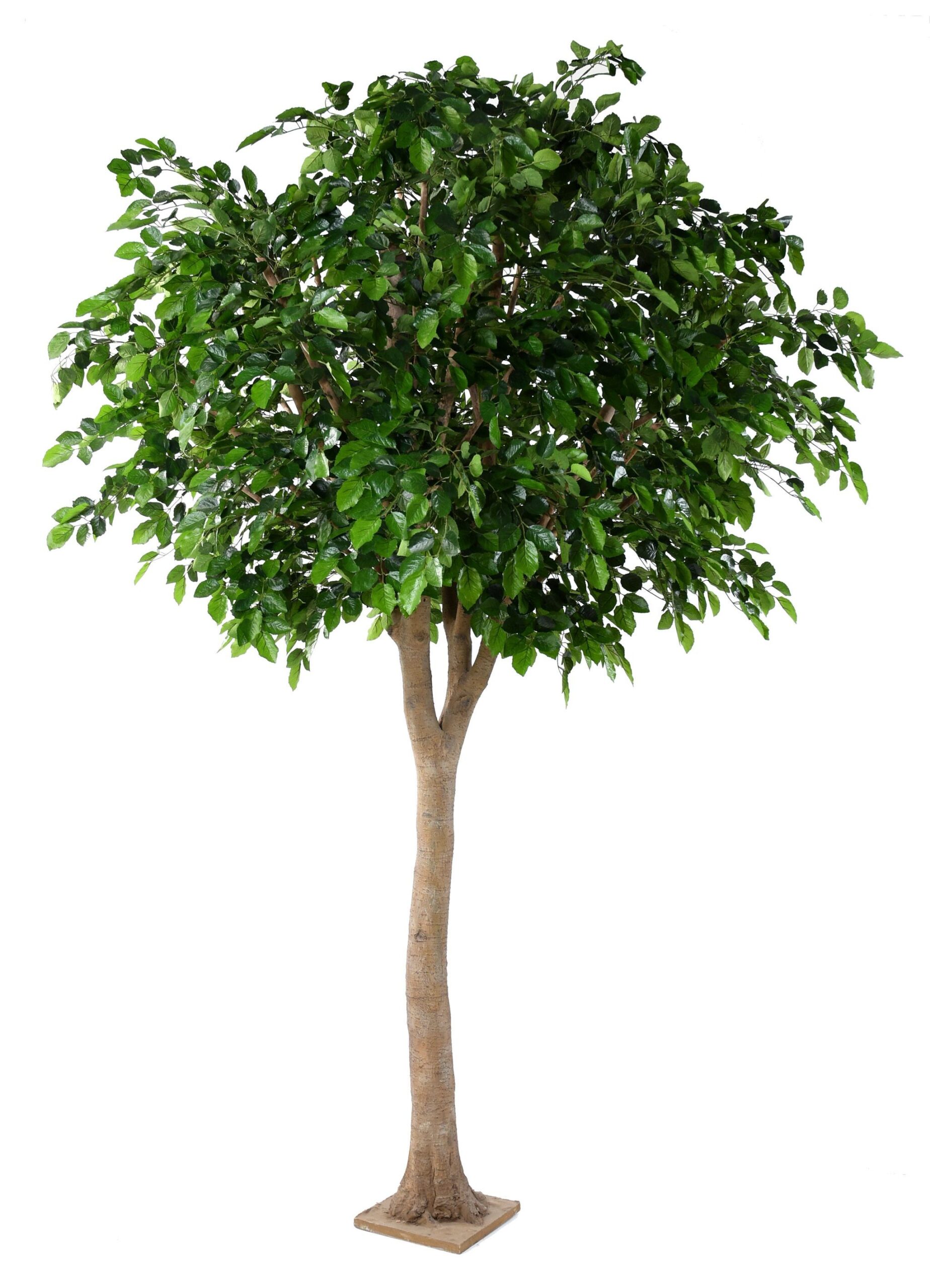 Künstlicher Buchenbaum, ca. 340cm hoch, grün 1 Künstlicher Buchenbaum, ca. 340cm hoch, grün