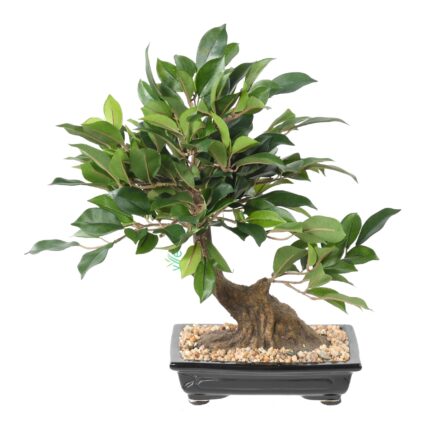 Künstlicher Bonsai Ficus, ca. 38cm hoch, grün