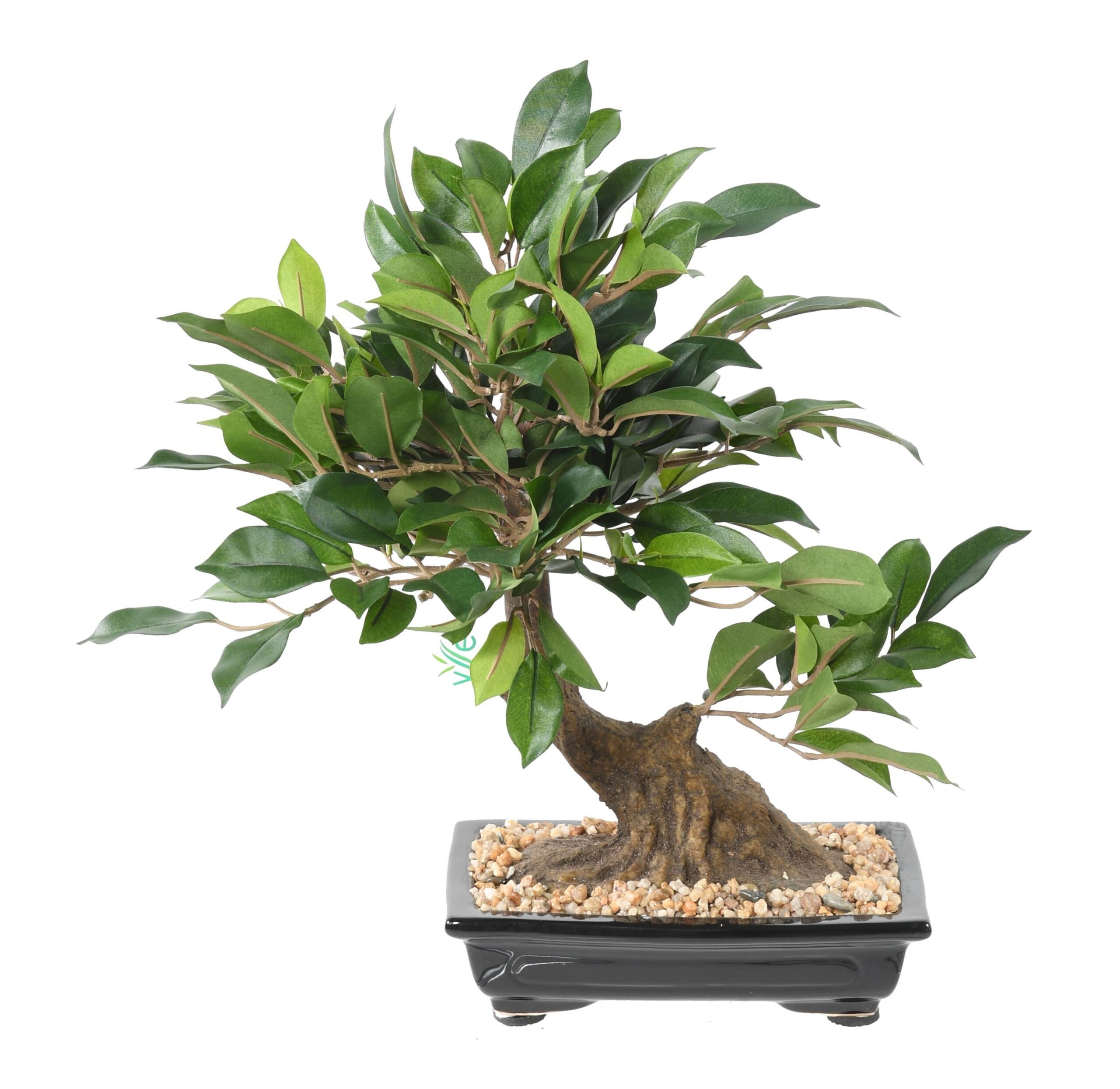 Künstlicher Bonsai Ficus, ca. 38cm hoch, grün 1 Künstlicher Bonsai Ficus, ca. 38cm hoch, grün