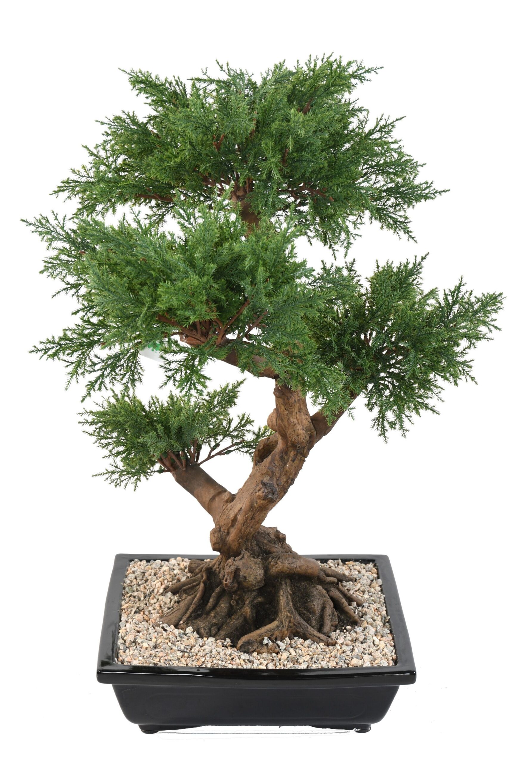 Künstlicher Bonsai-Juniperus, ca. 75cm hoch, grün 1 Künstlicher Bonsai-Juniperus, ca. 75cm hoch, grün
