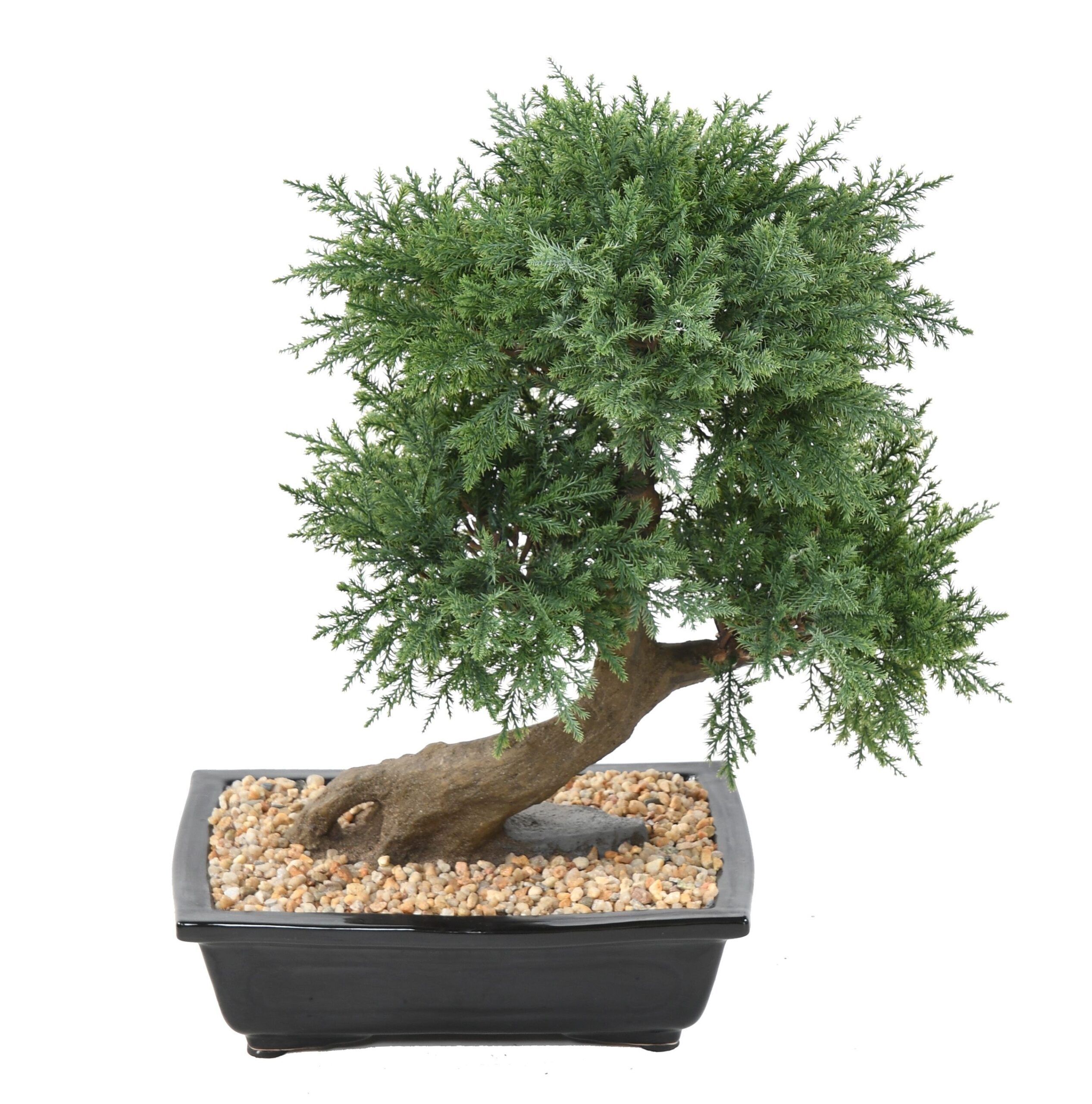 Künstlicher Bonsai Juniperus, ca. 55cm hoch, grün 1 Künstlicher Bonsai Juniperus, ca. 55cm hoch, grün