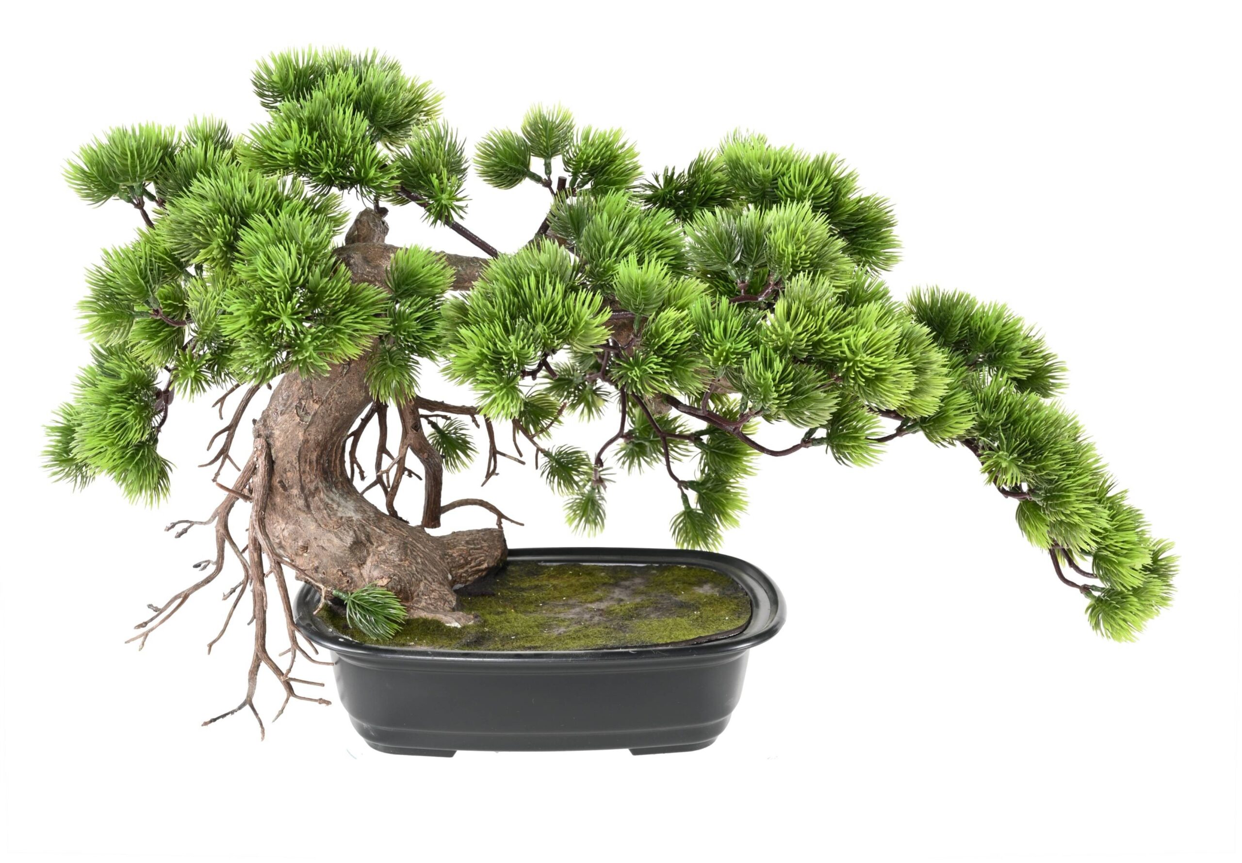 Künstliche Bonsai-Kiefer, ca. 37cm hoch, grün 1 Künstliche Bonsai-Kiefer, ca. 37cm hoch, grün