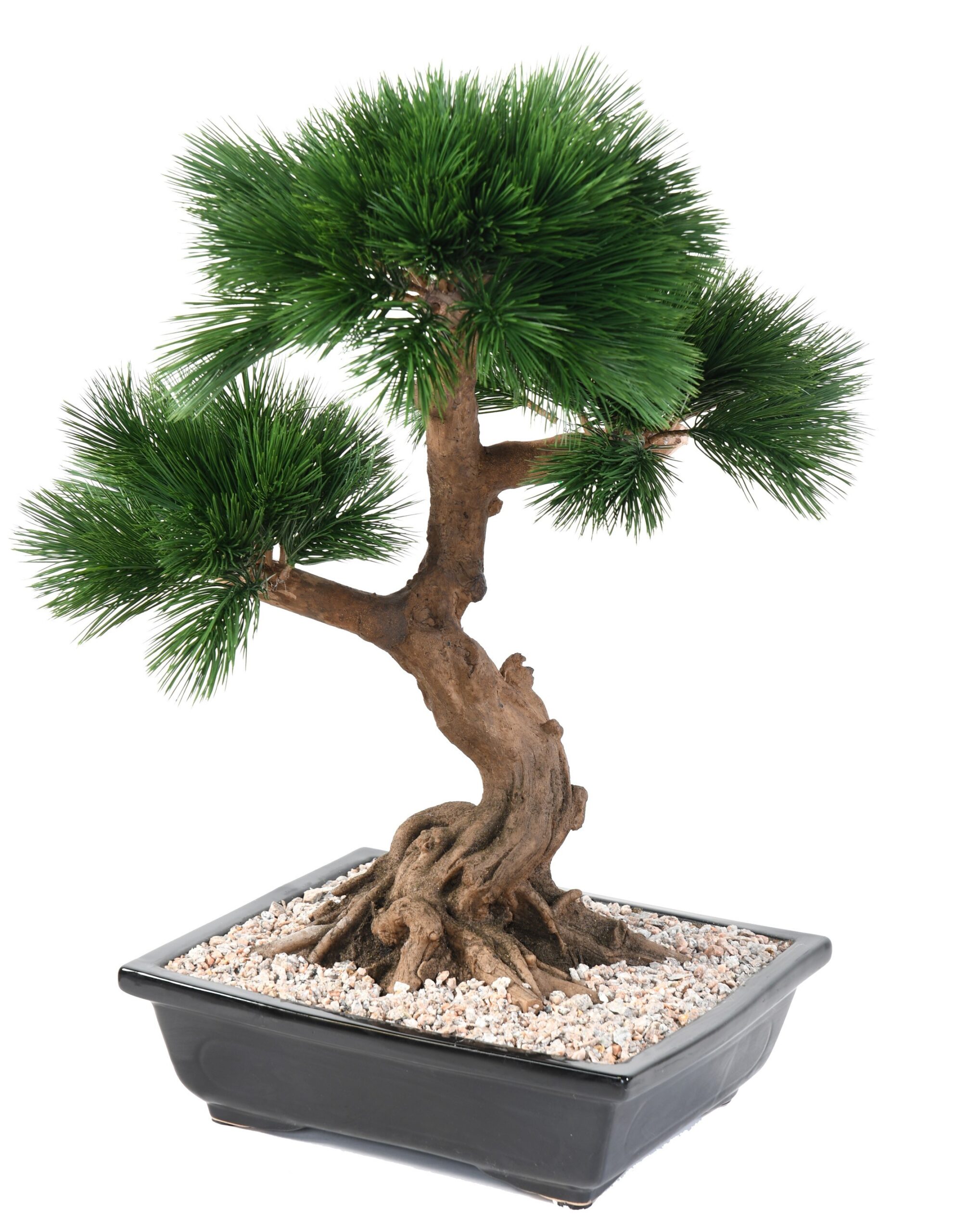 Künstliche Bonsai-Kiefer, ca. 70cm hoch, grün 1 Künstliche Bonsai-Kiefer, ca. 70cm hoch, grün