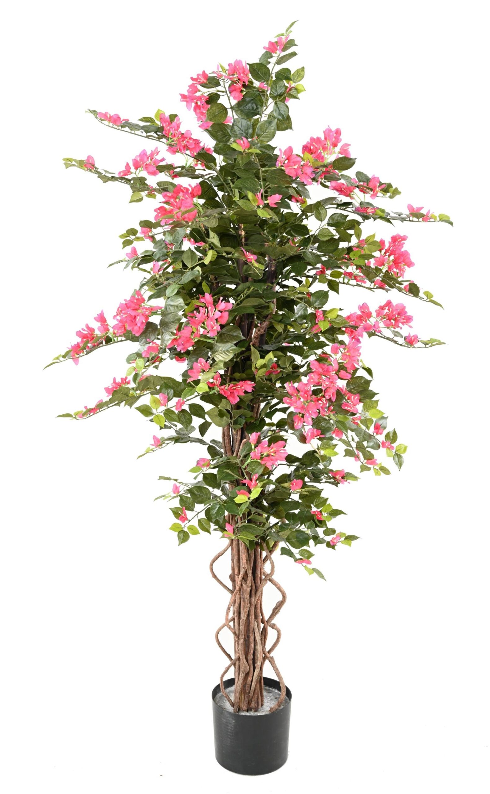 Künstliche Bougainvillea, ca. 165cm hoch, fuchsia 1 Künstliche Bougainvillea, ca. 165cm hoch, fuchsia