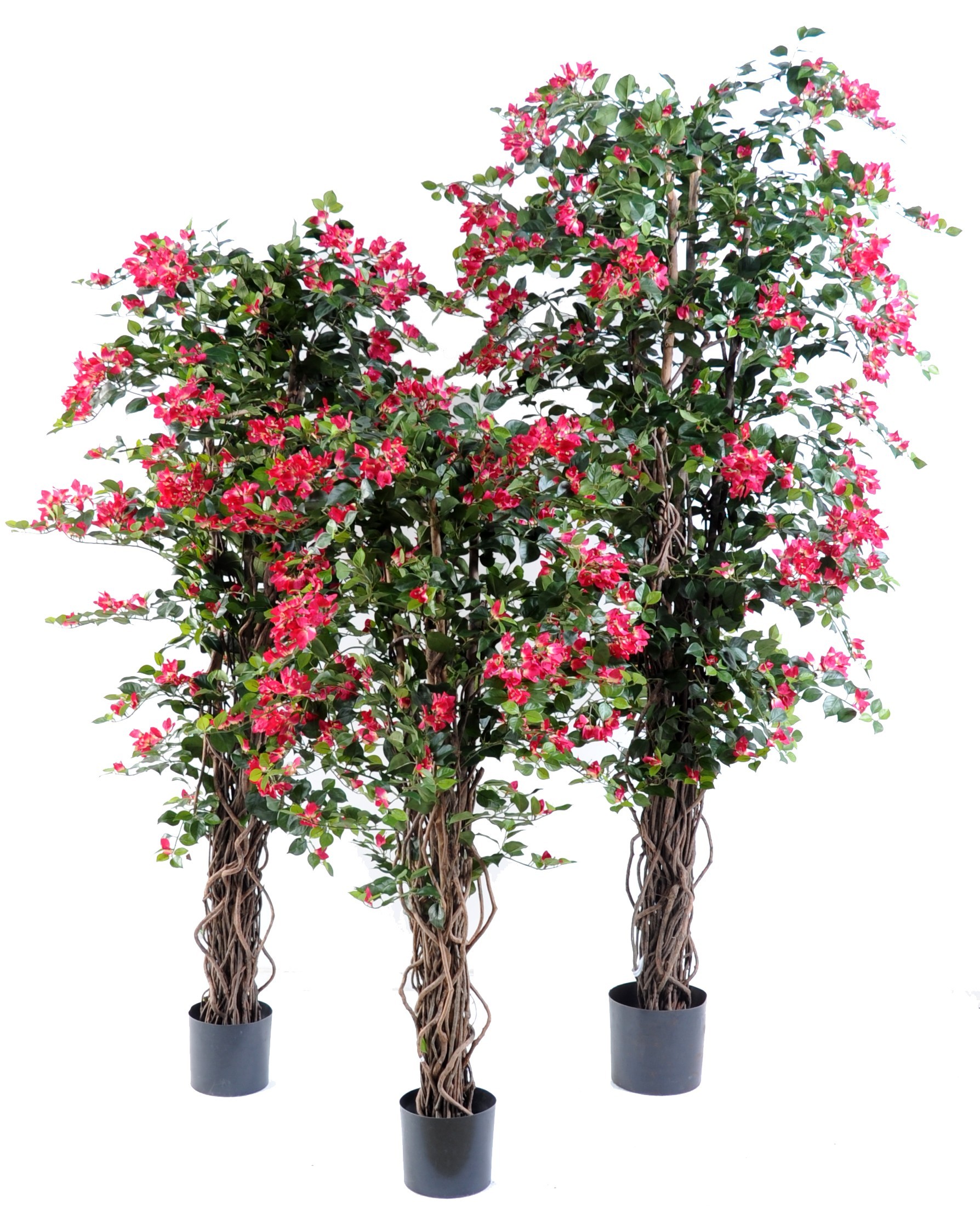 Künstliche Bougainvillea, ca. 210cm hoch, fuchsia 1 Künstliche Bougainvillea, ca. 210cm hoch, fuchsia