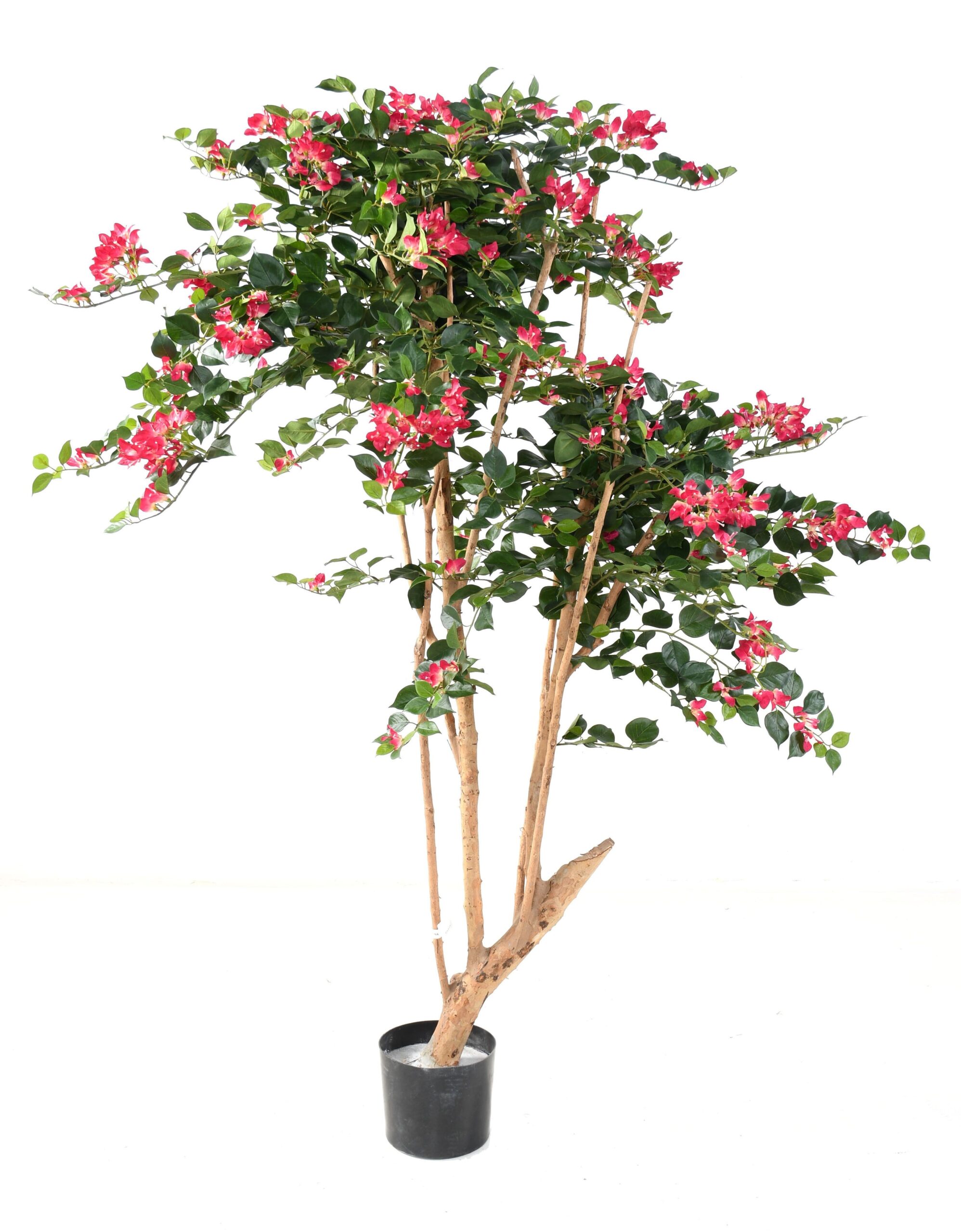 Künstlicher Bougainvillea Baum, ca. 160cm hoch, fuchsia 1 Künstlicher Bougainvillea Baum, ca. 160cm hoch, fuchsia