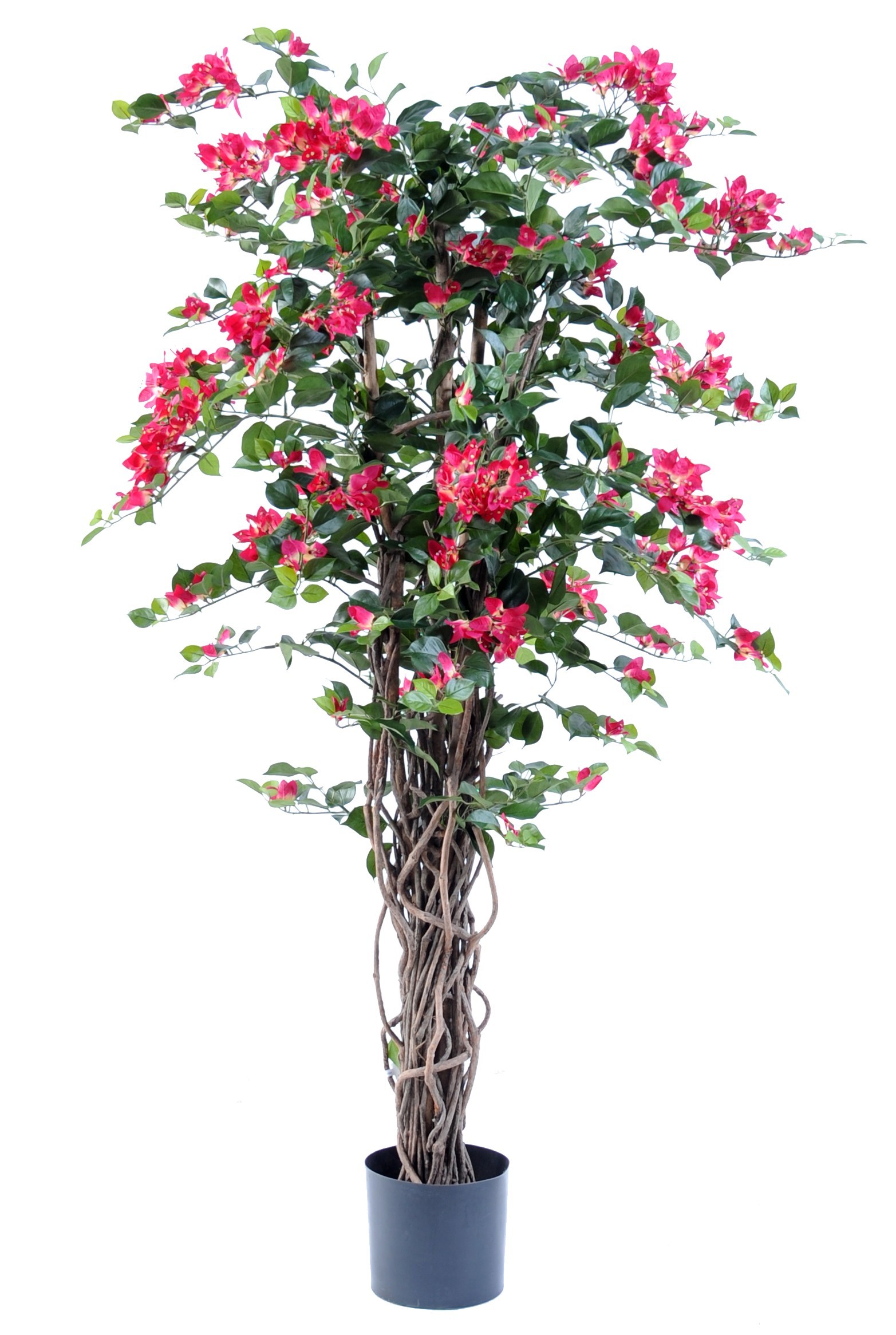 Künstliche Bougainvillea, ca. 150cm hoch, fuchsia 1 Künstliche Bougainvillea, ca. 150cm hoch, fuchsia