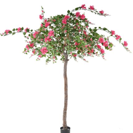 Künstliche Bougainvillea, ca. 280cm hoch, fuchsia