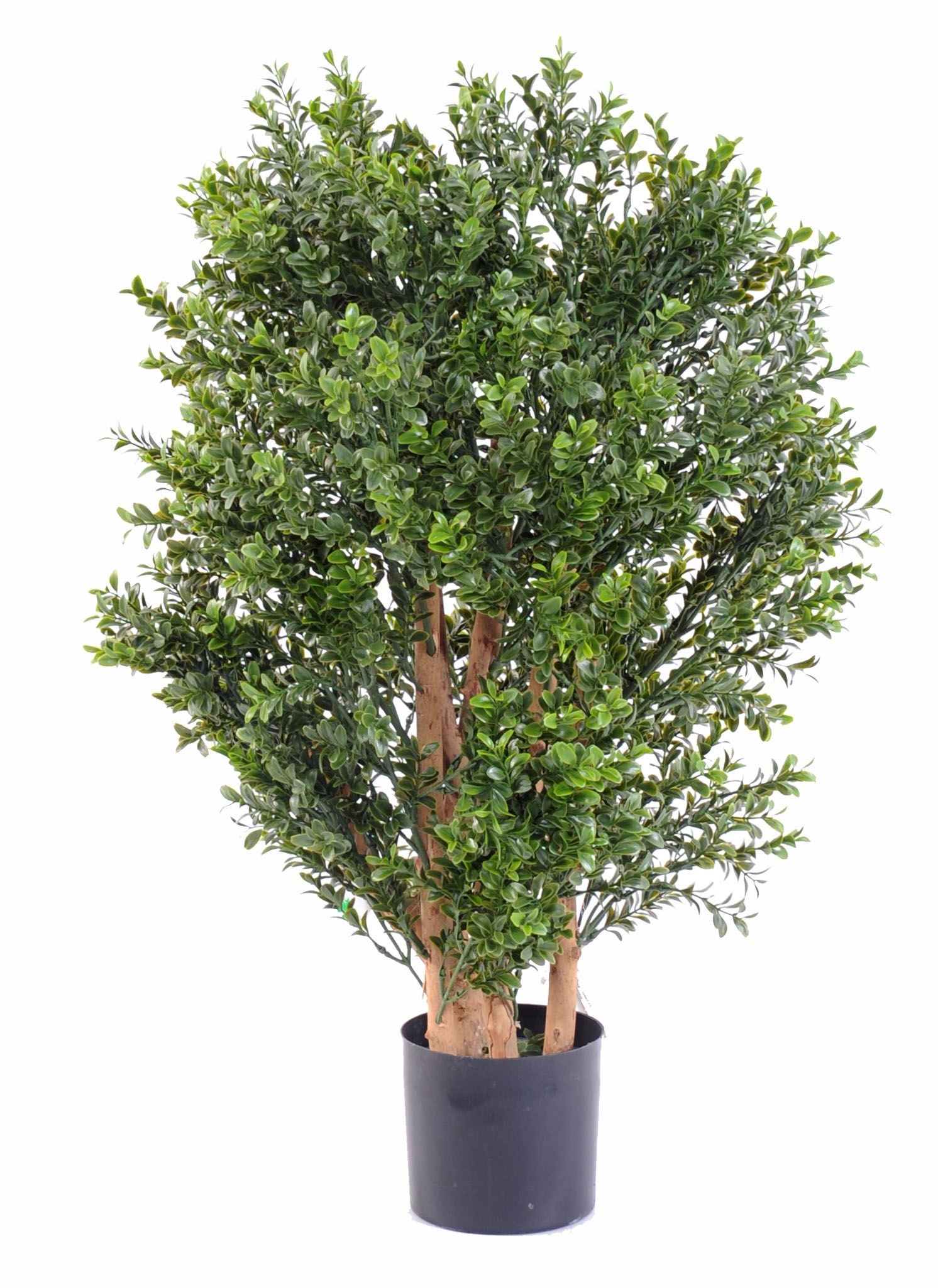 Künstlicher Buchsbaumstrauch, ca 70cm - UV-Beständig, grün 1 Künstlicher Buchsbaumstrauch, ca 70cm - UV-Beständig, grün