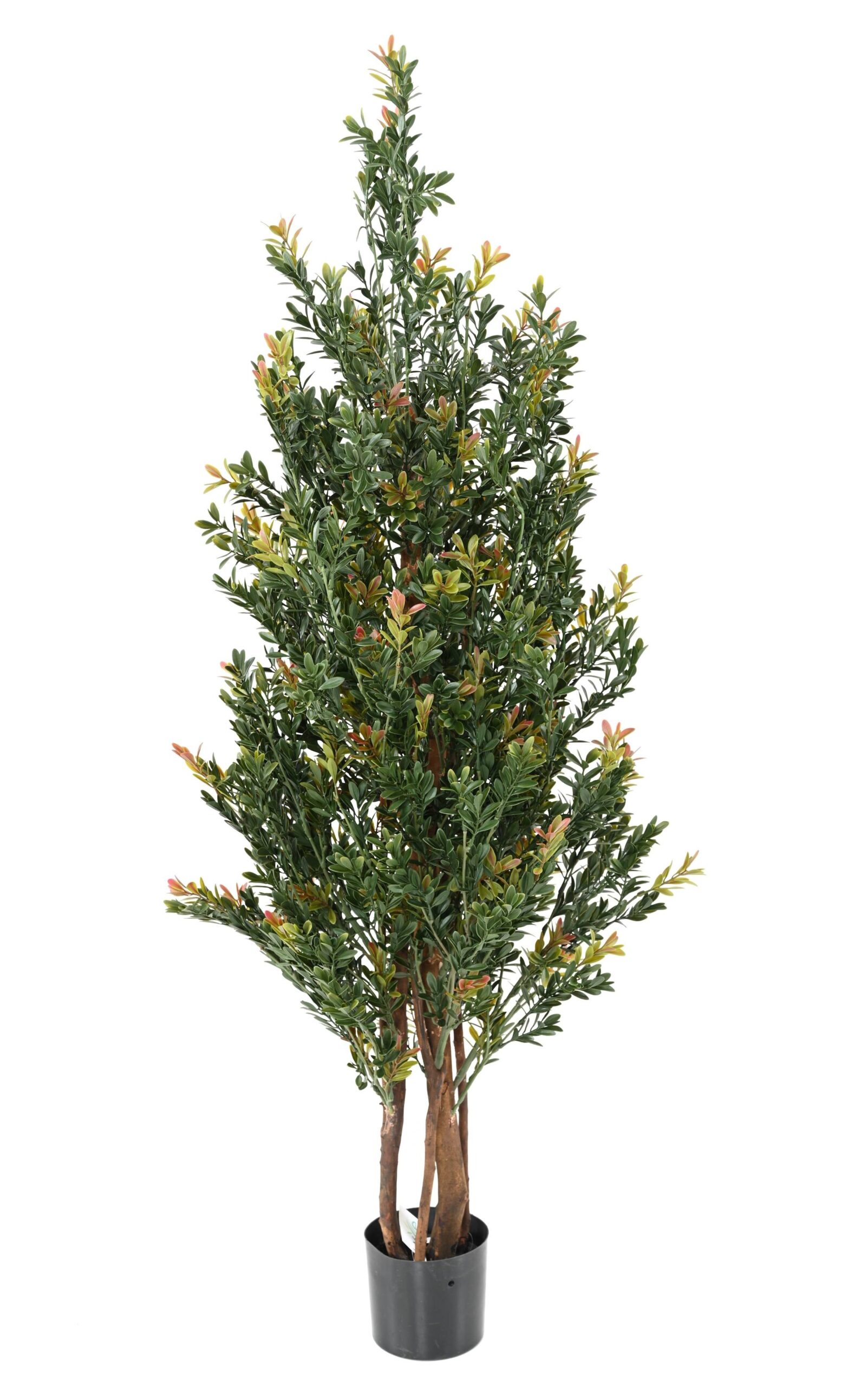 Künstlicher Rotblühender Buchsbaum, ca 130cm - UV-Beständig, grün mit roten Blüten 1 Künstlicher Rotblühender Buchsbaum, ca 130cm - UV-Beständig, grün mit roten Blüten