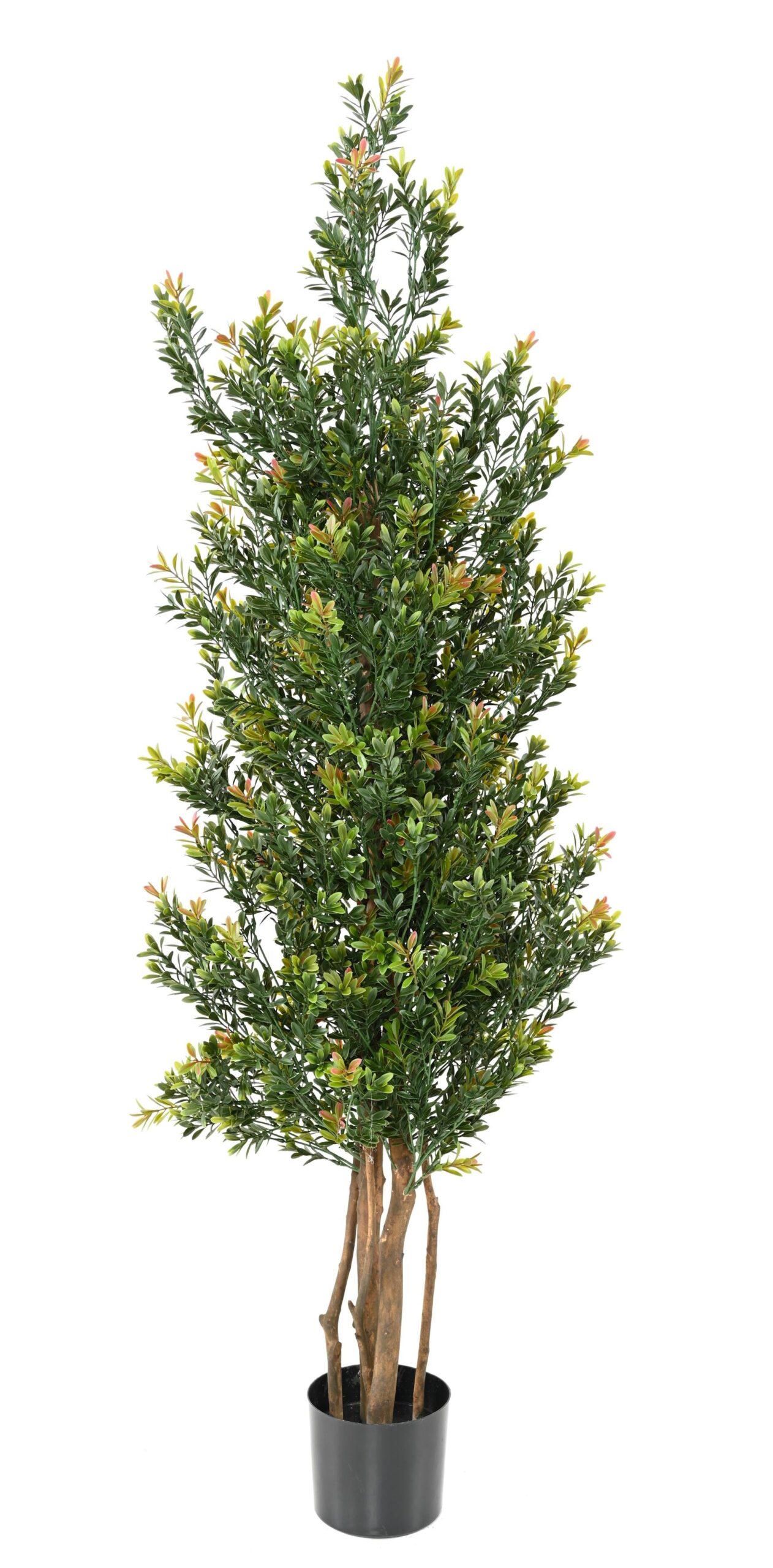 Künstlicher Buchsbaum „Red Day“, 165 cm - UV-beständig, farbenfroh 1 Künstlicher Buchsbaum „Red Day“, 165 cm - UV-beständig, farbenfroh