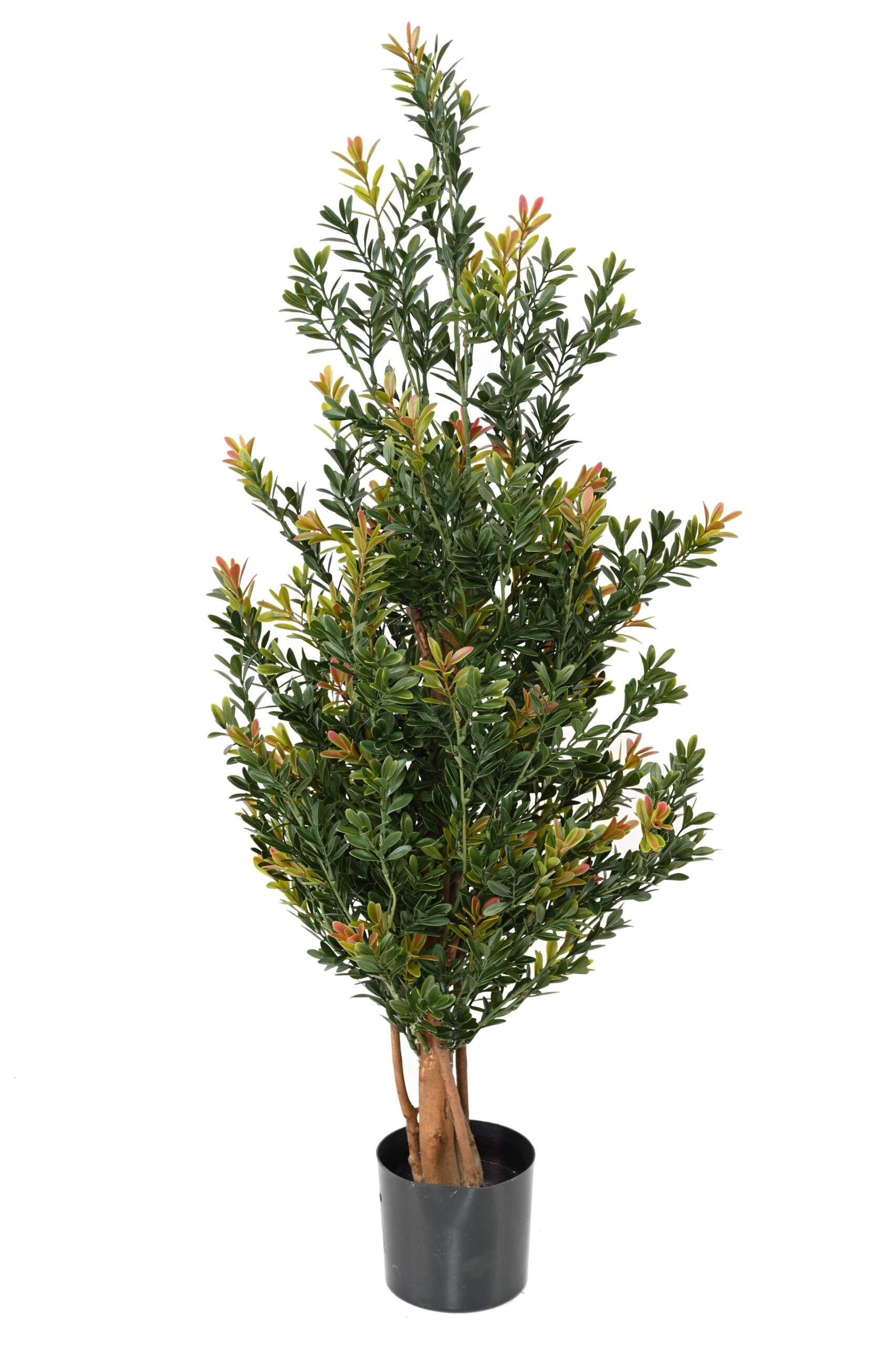 Künstlicher Boxwood Red Day LL Bush, ca 100cm - UV-Beständig, grün 1 Künstlicher Boxwood Red Day LL Bush, ca 100cm - UV-Beständig, grün