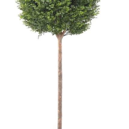 Künstlicher Buchsbaum „Red Day“, 140cm - UV-beständig, grün-orange