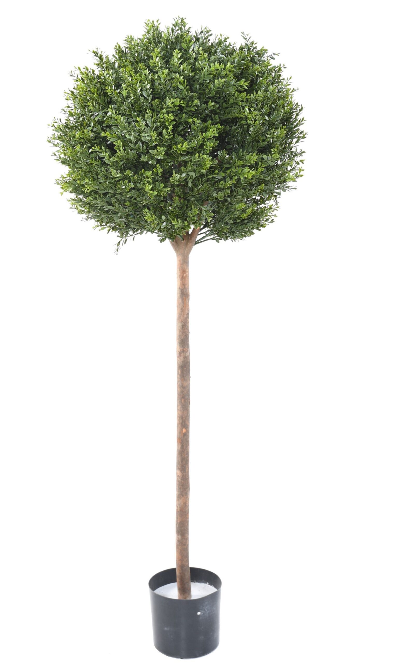 Künstlicher Buchsbaum „Red Day“, 140cm - UV-beständig, grün-orange 1 Künstlicher Buchsbaum „Red Day“, 140cm - UV-beständig, grün-orange