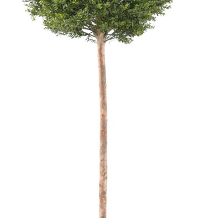 Künstlicher Buchsbaum „Red Day“, 170cm - UV-beständig, grün-rot