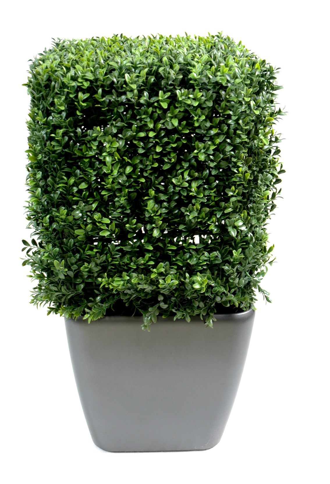 Künstlicher Buchsbaum quadratisch 50 cm – Pflegeleichtes Grün 1 Künstlicher Buchsbaum quadratisch 50 cm – Pflegeleichtes Grün