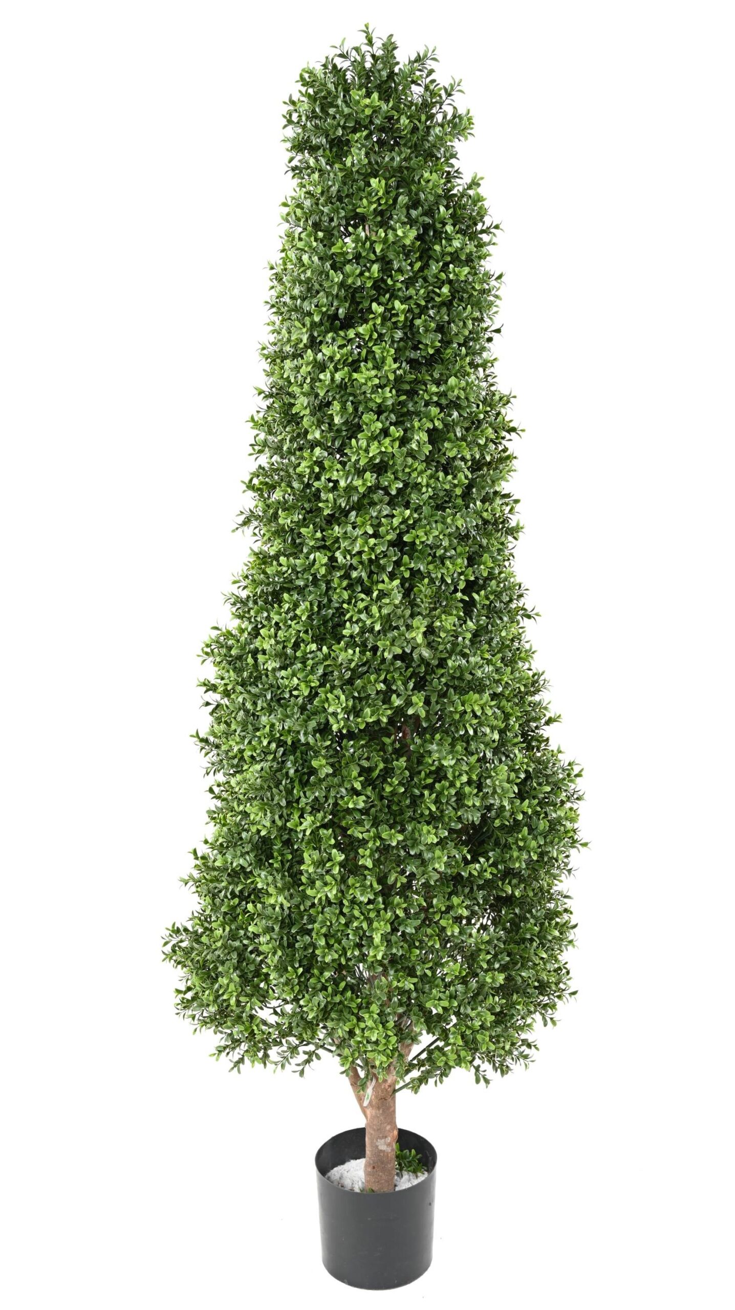 Künstlicher Buchsbaum Topiary, 180 cm hoch, Ø 65 cm 1 Künstlicher Buchsbaum Topiary, 180 cm hoch, Ø 65 cm