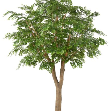 Künstlicher Bucida, ca. 300cm hoch, grün