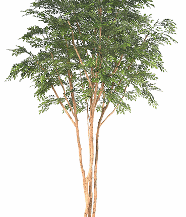 Künstlicher Bucida-Baum, ca. 330cm hoch, grün