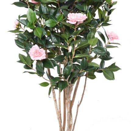 Künstliche Kamelie, ca. 130cm hoch, pink