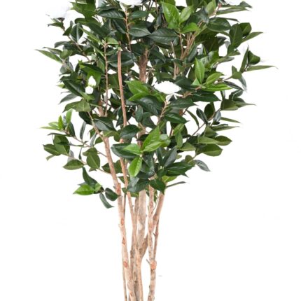 Künstlicher Kamelienbaum, ca. 160cm hoch, weiß