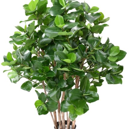 Künstlicher Clusia-Busch, ca. 95cm hoch, grün