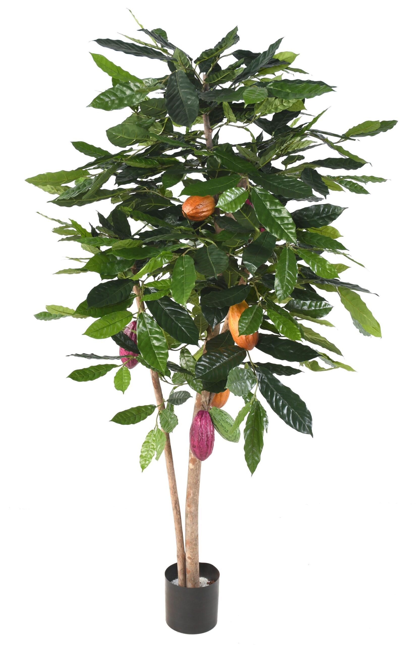 Künstlicher Kakaobaum, ca. 210cm hoch, grün 1 Künstlicher Kakaobaum, ca. 210cm hoch, grün