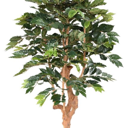 Künstlicher Kaffeebaum, ca. 180cm hoch, grün