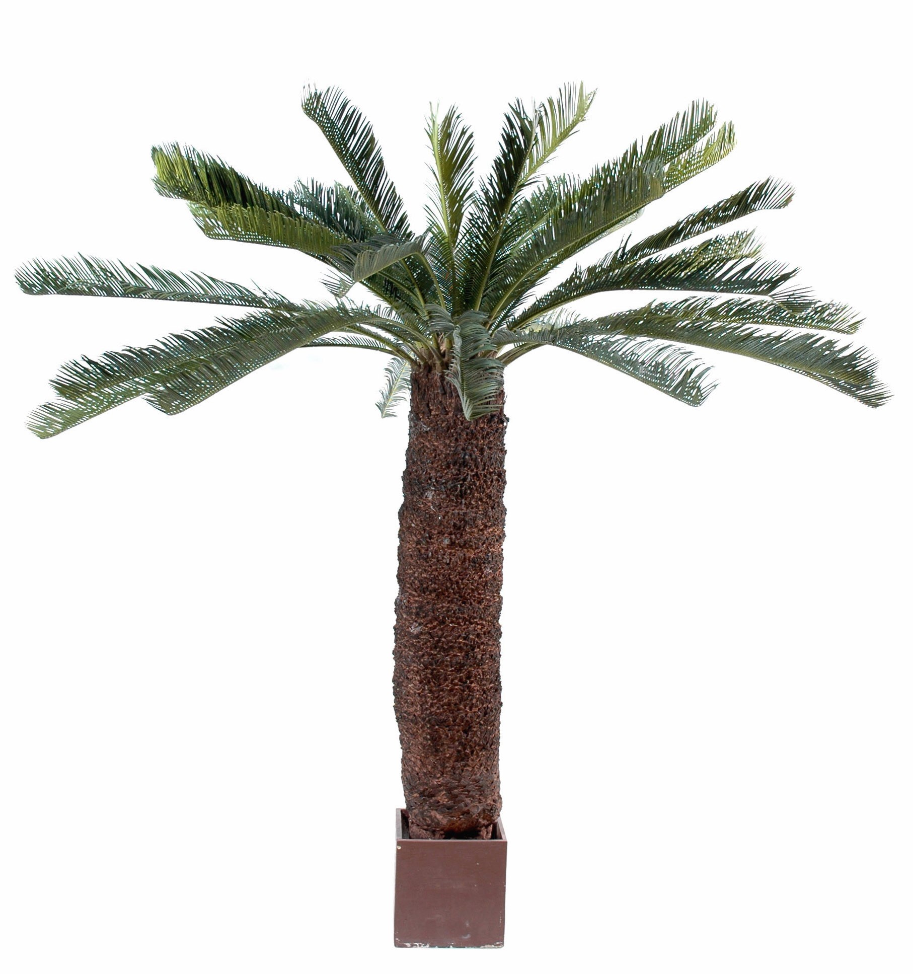 Künstlicher Riesen-Cycas, ca. 200cm, grün 1 Künstlicher Riesen-Cycas, ca. 200cm, grün