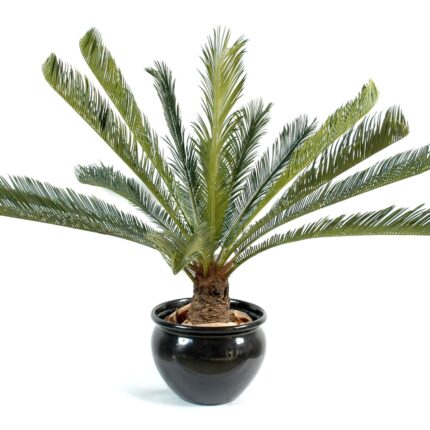 Künstlicher Riesen-Cycas, ca. 100cm, grün