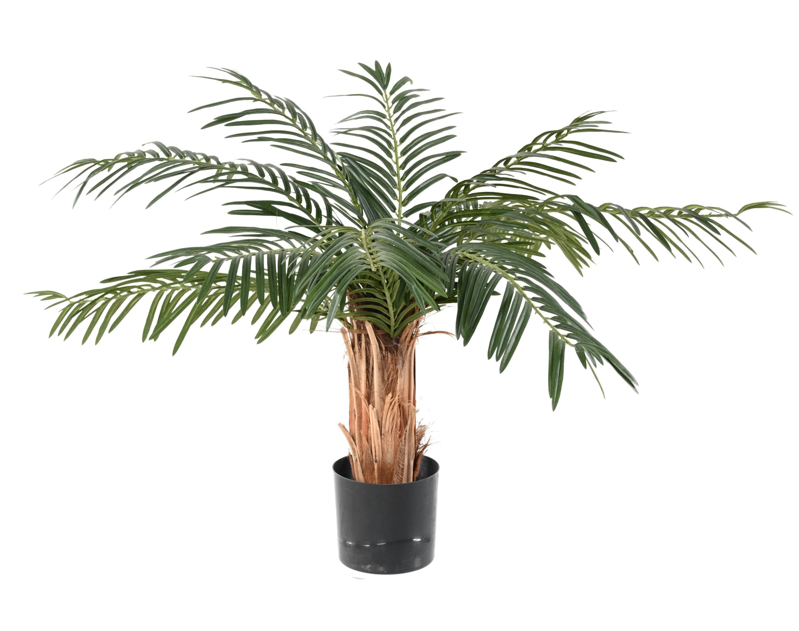 Künstliche Cycas-Palme, ca. 80cm, grün 1 Künstliche Cycas-Palme, ca. 80cm, grün
