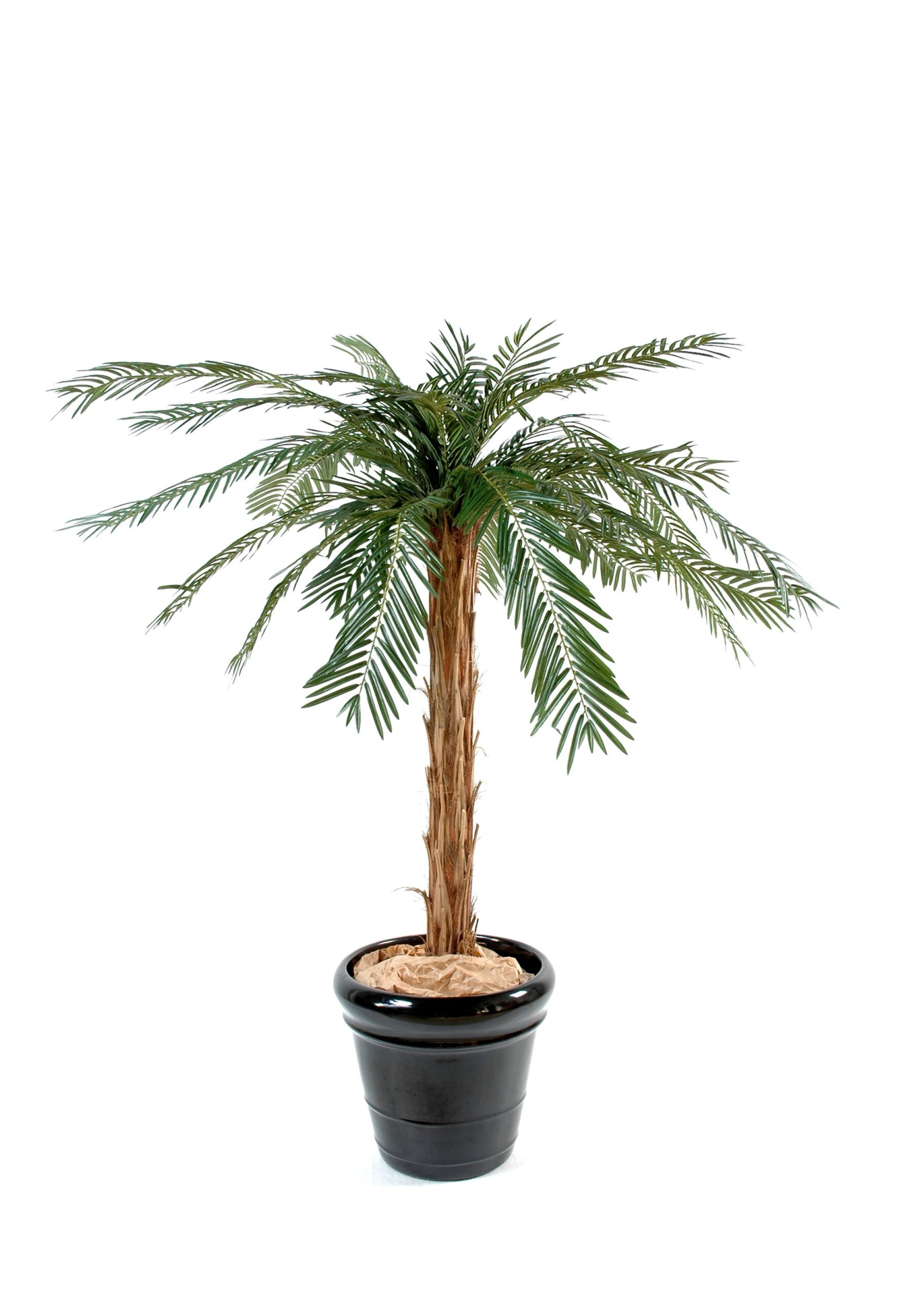 Künstliche Cycas-Palme, ca. 170cm, grün 1 Künstliche Cycas-Palme, ca. 170cm, grün