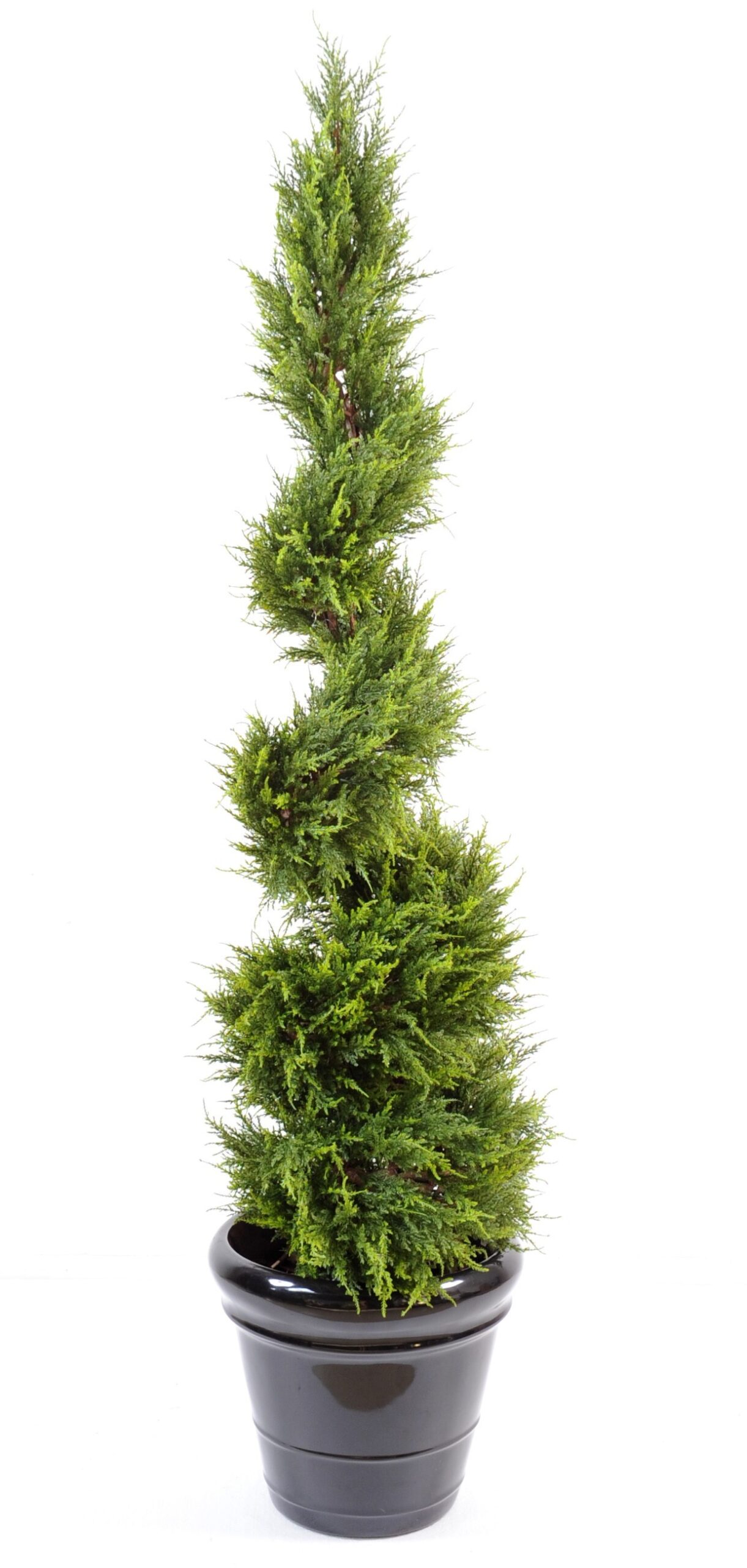 Künstlicher Zypressen-Juniperus, ca 160cm, hellgrün 1 Künstlicher Zypressen-Juniperus, ca 160cm, hellgrün