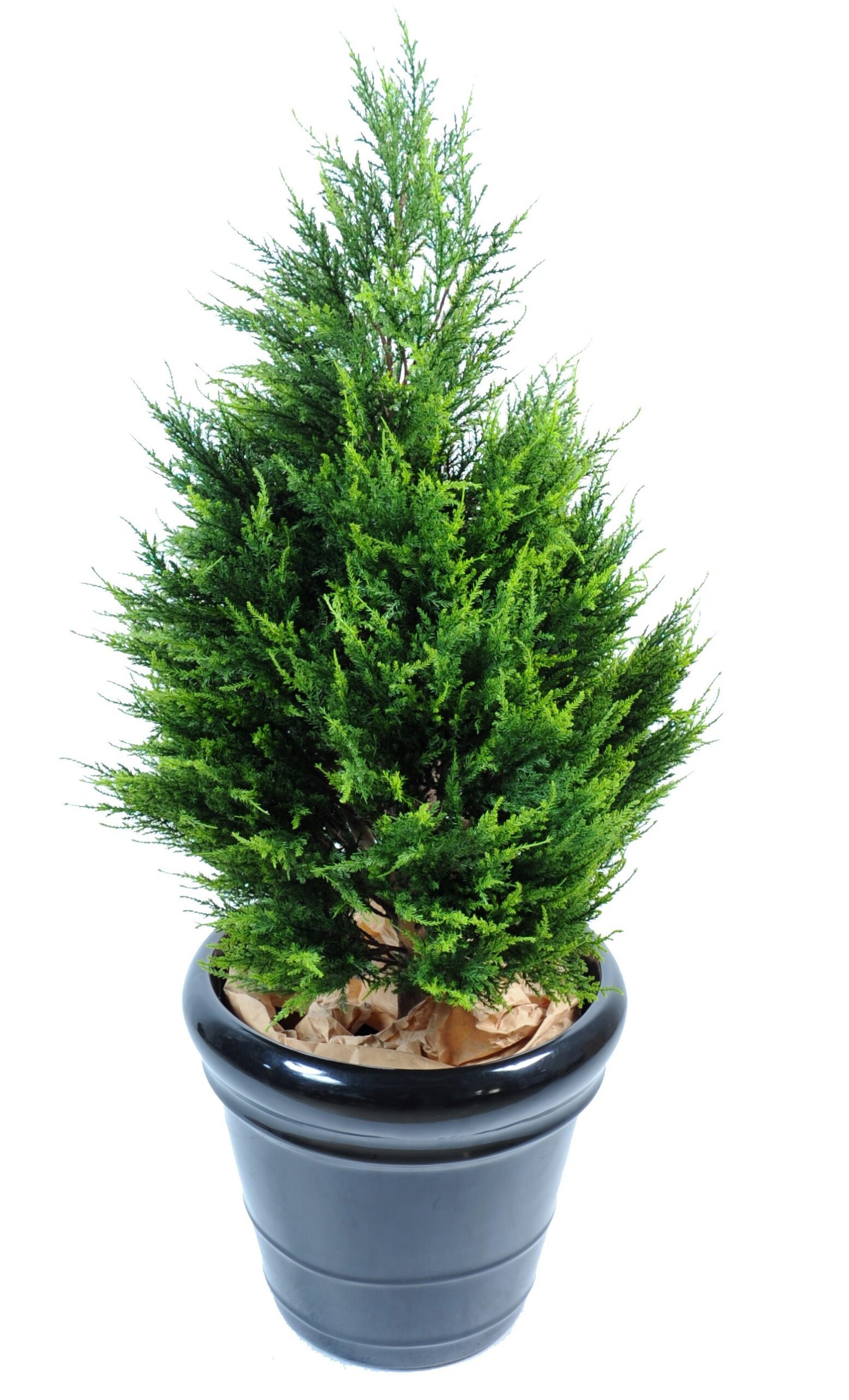 Künstlicher Zypressenbaum, ca. 105cm hoch, grün 1 Künstlicher Zypressenbaum, ca. 105cm hoch, grün