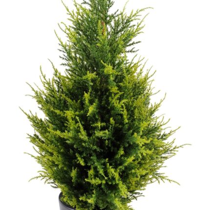 Künstlicher Zypressenbaum, ca 65cm, hellgrün