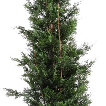 Künstlicher Lawson-Zypressenbaum, ca 180cm - UV-Beständig, grün