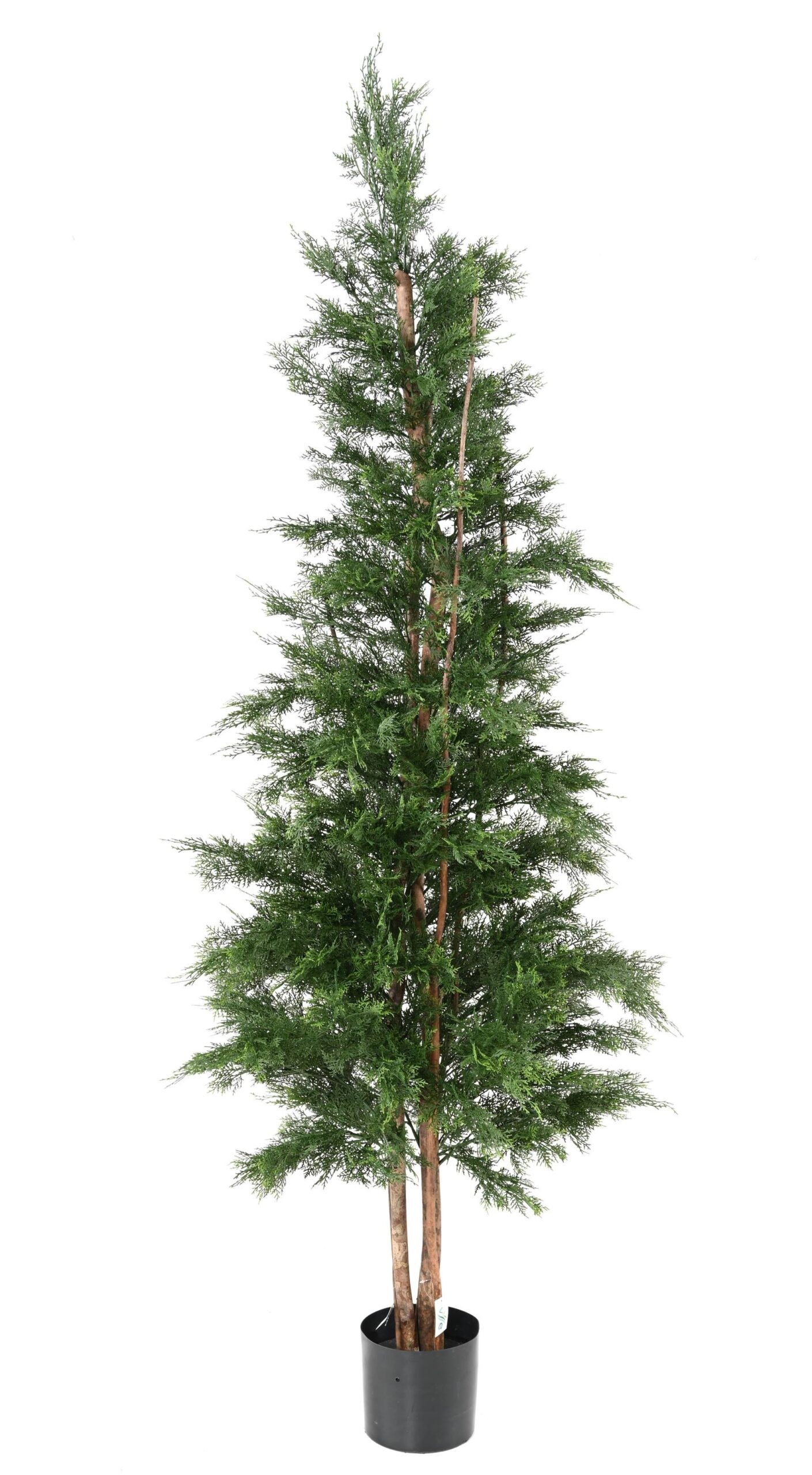 Künstlicher Lawson-Zypressenbaum, ca 210cm - UV-Beständig, grün 1 Künstlicher Lawson-Zypressenbaum, ca 210cm - UV-Beständig, grün